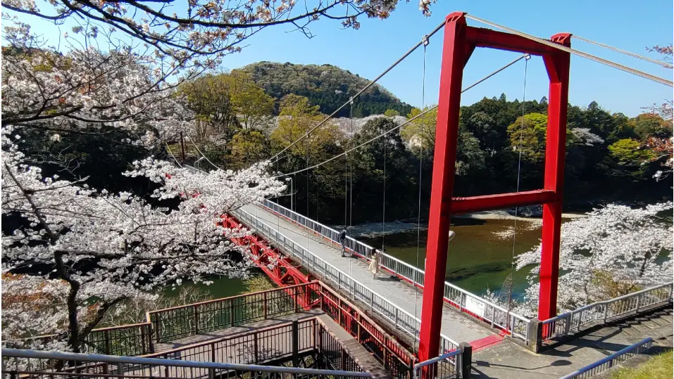 桜山公園散策マップ・ハイキングコースマップ 藤岡市