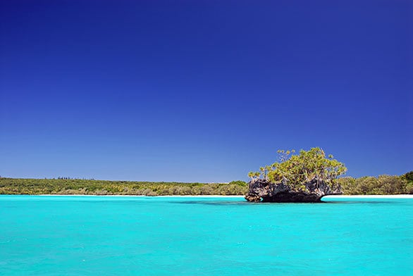 ロイヤルティ諸島、リフー島: 最大の忠誠心ニューカレドニア