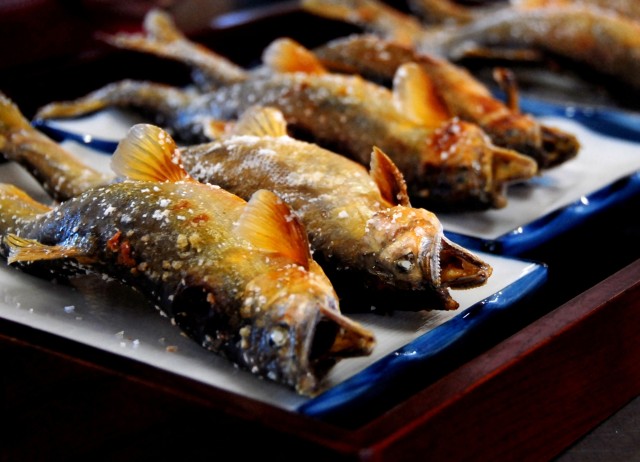 岐阜県で「日本さばける塾」開催 伝統漁法＜ヤナ漁＞を通して海や魚について考える 岐阜県関市-