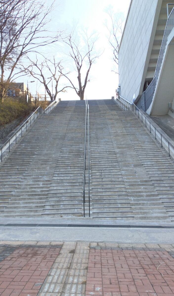 南山公園 公園MEQQE めっけ