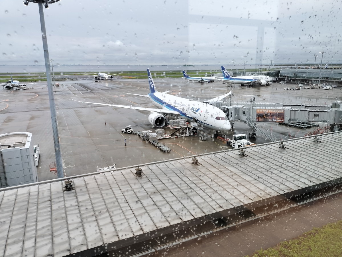 やっと成田に着きました！のんびりさんの楽しみ