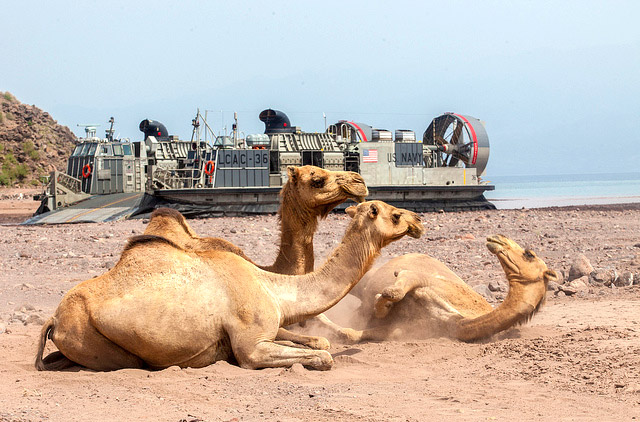 自衛隊唯一の海外「拠点」、ジブチとの関係から開ける展望：篠田英朗「アフリカ不在のFOIP」脱却論新潮社 Foresight フォーサイト会員制国際情報サイト