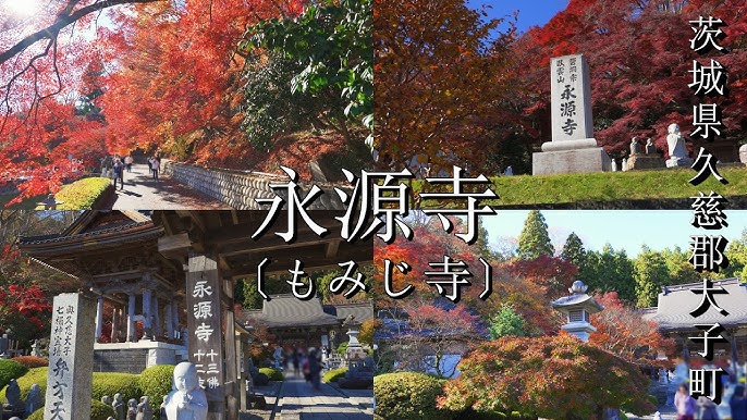 大子町の紅葉名所・もみじ寺等おすすめ紅葉スポット:茨城VRツア