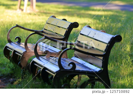 Amazon屋外ベンチ 屋外の余暇のベンチの鋳造物アルミニウム公園のベンチ ヨーロッパのレトロな様式の中庭のバルコニーの金属のアルミ合金のベンチ公園のベンチColor : A,