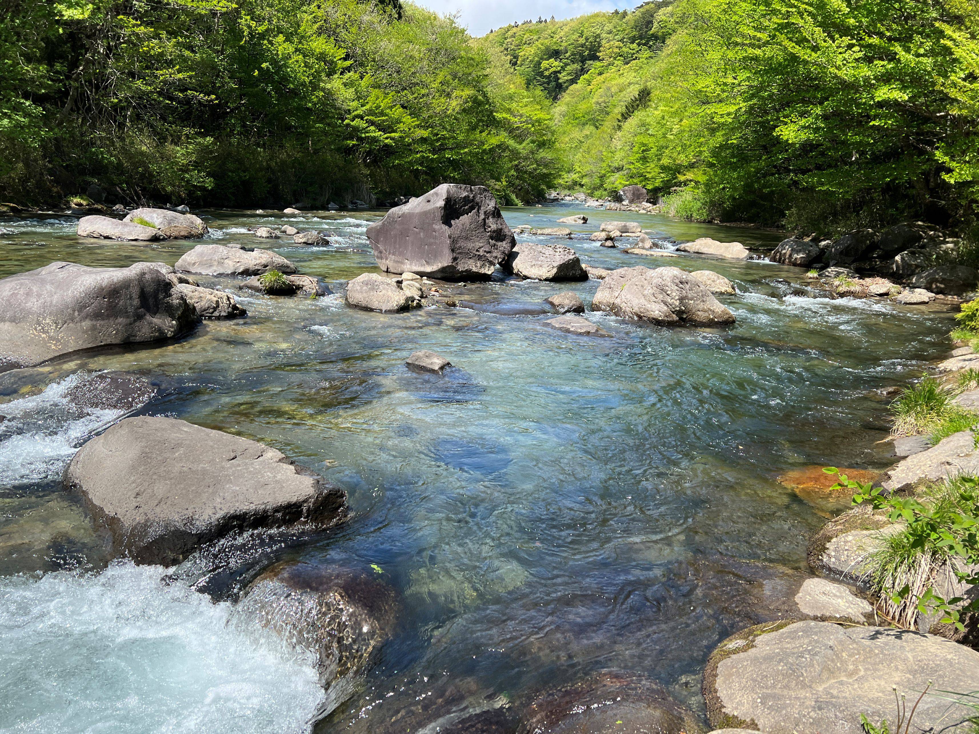 那珂川町 那須郡 の釣り 釣り堀・渓流釣り・海釣り・釣り船等