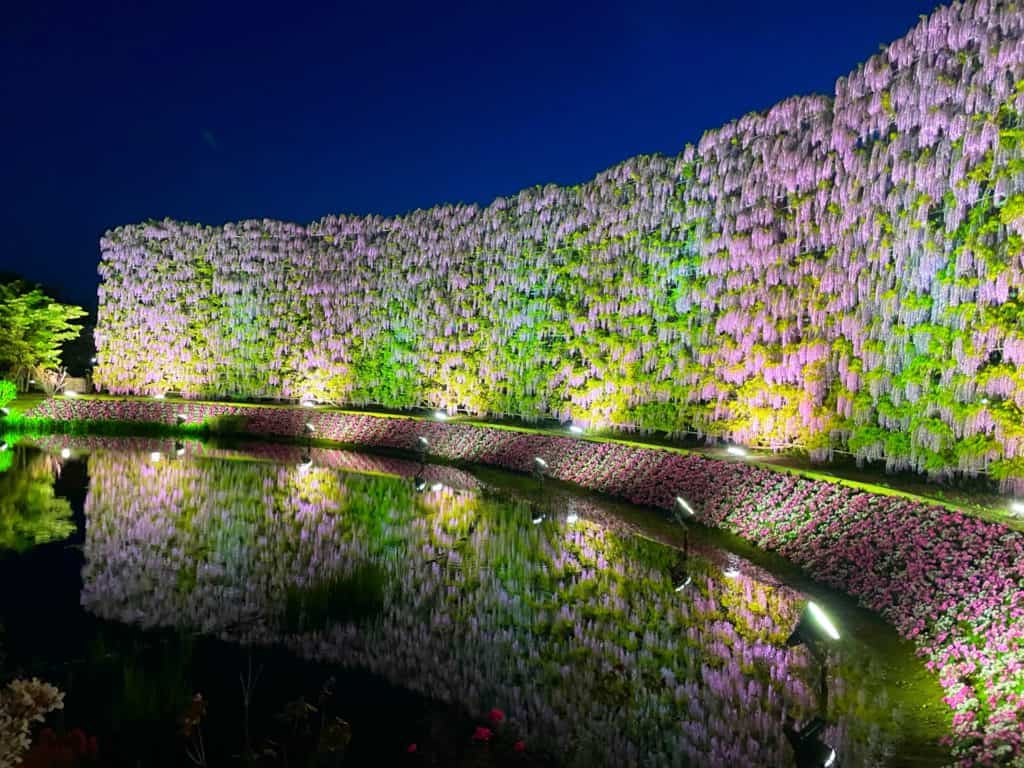 宇都宮 ロマンチック前線到来☆宇都宮キラキラドライブ 3ページネッツンドライブ栃ナビ