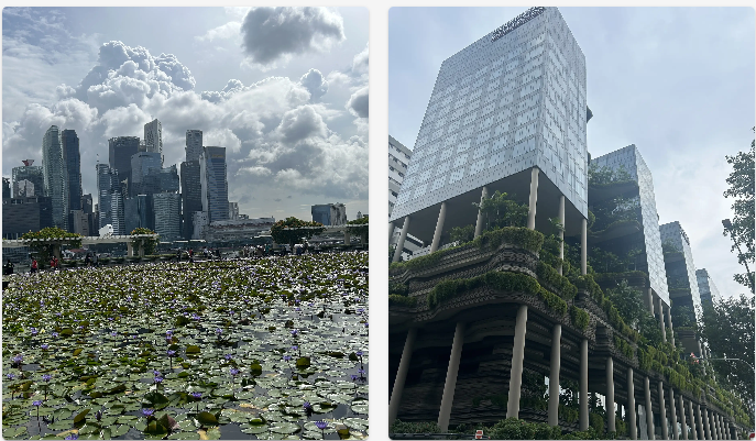 dezain.net - KPFが設計した中層階に屋外テラスを持つシンガポールの高層ビル「Robinson