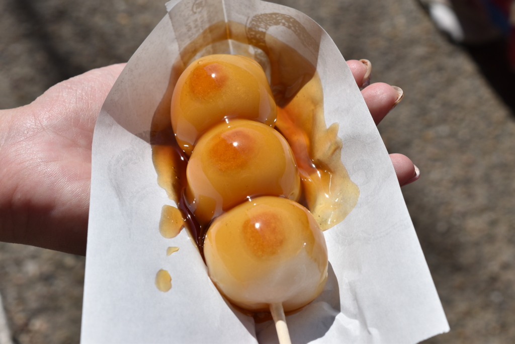 嵐山観光マップambula map