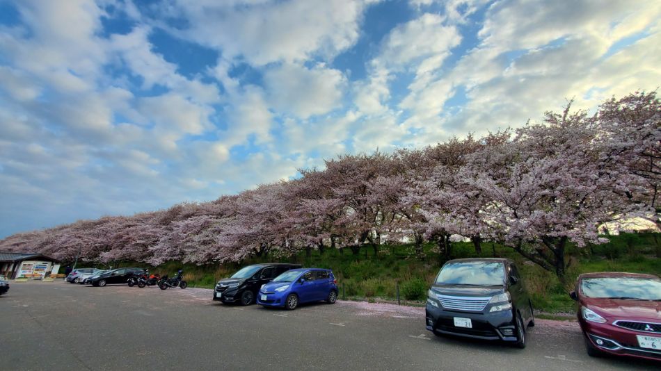 埼玉県のおすすめドライブコース5選！ 近場旅におすすめのグルメスポットや自然あふれるエリアを紹介カーチップス