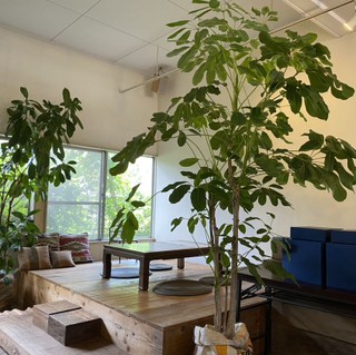 東区名島 川沿いに発見！こだわりのコーヒーが楽しめる隠れ家カフェリビングふくおか・北九州Web