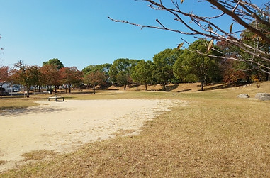 バードウォッチングは冬こそオススメ！必要なグッズや野鳥を見られる場所、観察する際のポイントなどを自然解説員が詳しく解説します◎えんぎ株式会社ENGI Inc