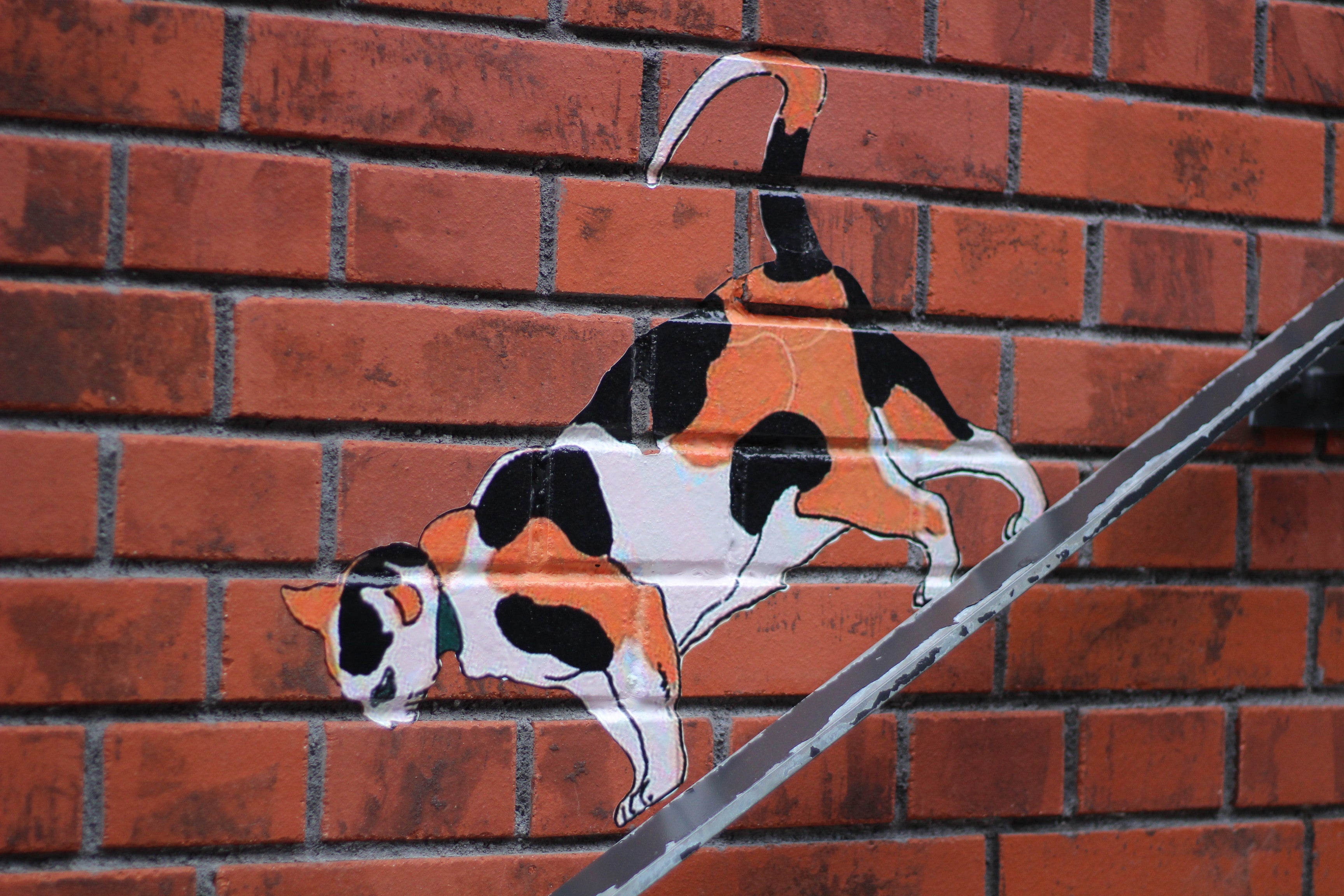 グッドスプーンみなとみらい店に“ポップオーバー”初登場！自家製チーズもサラダも食べ放題の胸熱ランチはまこれ横浜