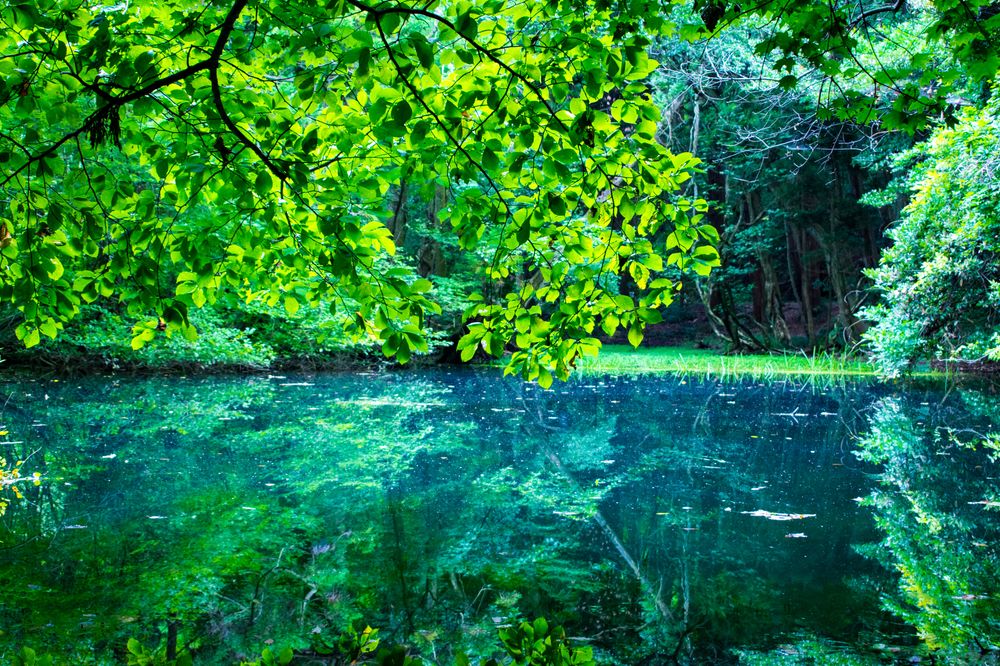 丸池様最新の山行記録と登山ルートやアクセス、気象状況など-ヤマレコ