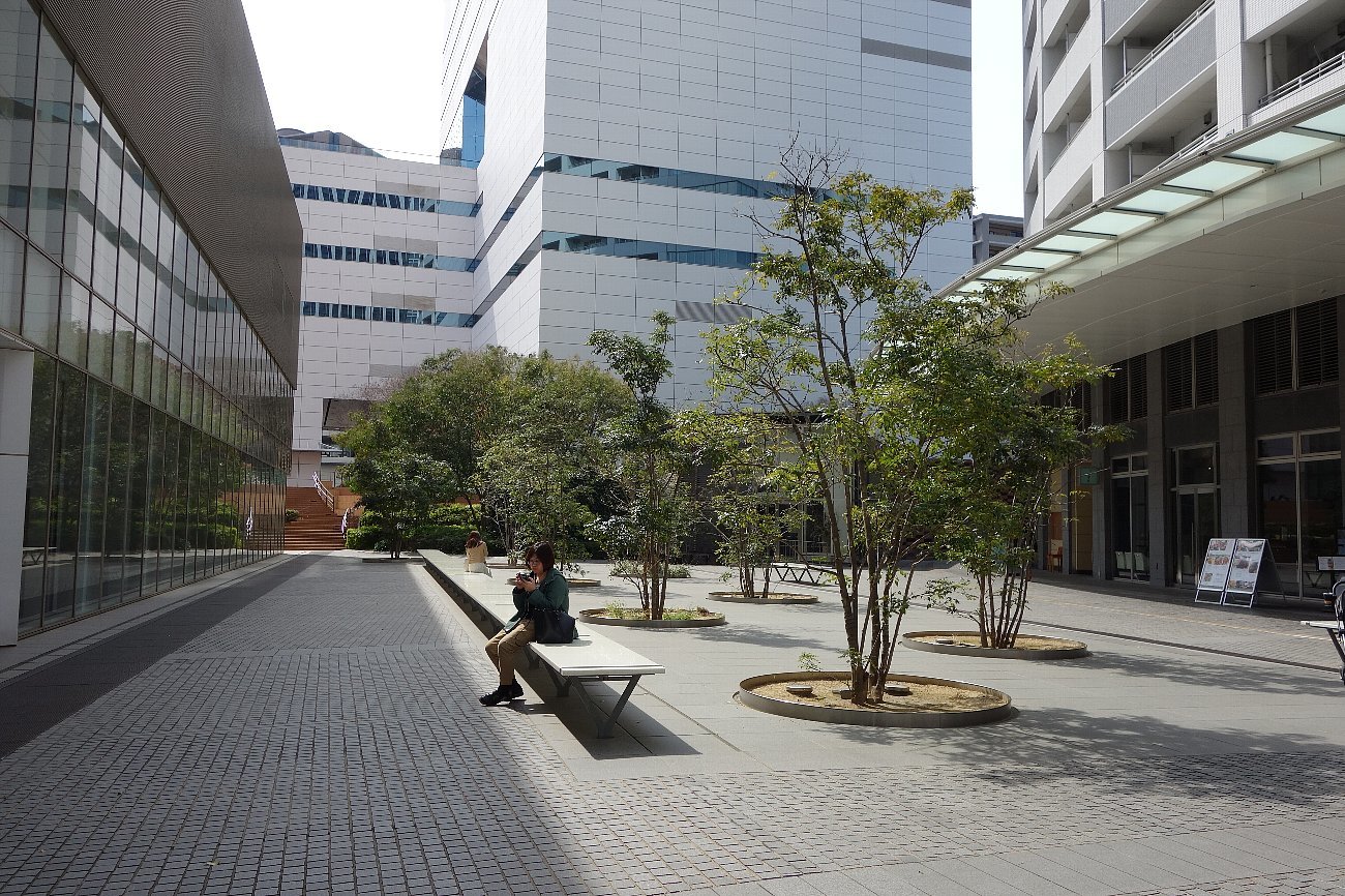 終了しましたほたるまち港ほか 11月26日 月