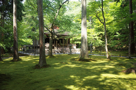 女 一人旅 リフレッシュ 日帰り関西TikTok