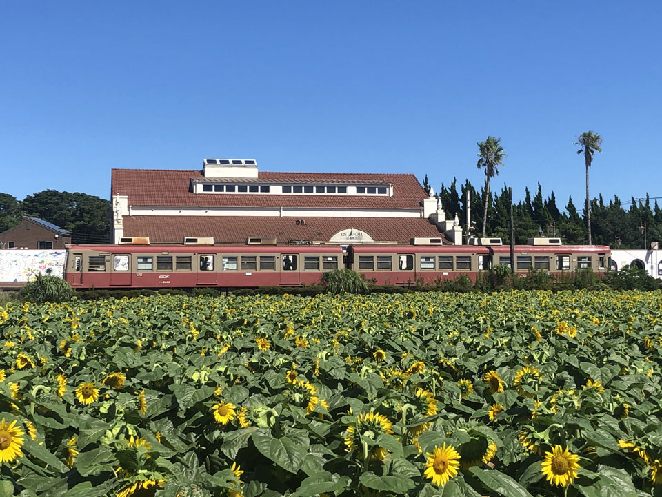 犬吠駅周辺の今昔。閉業したレトロな「犬吠埼マリンパーク」水族館の現在 －銚子30歴史散歩Deepランド