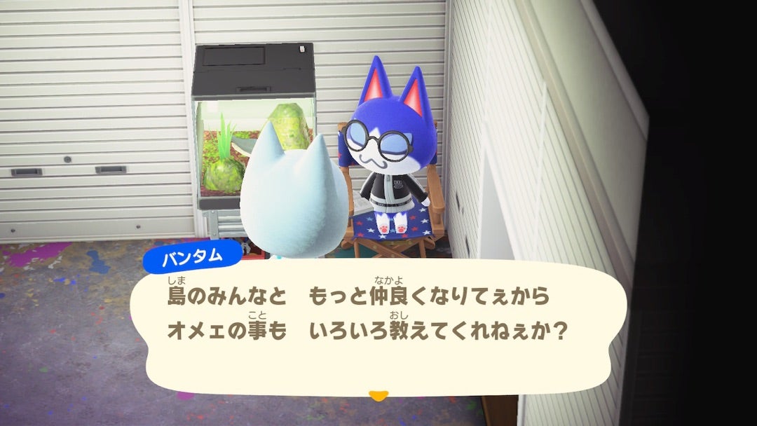 あつ森 バンタムの誕生日と性格 あつまれどうぶつの森 ゲームエイト