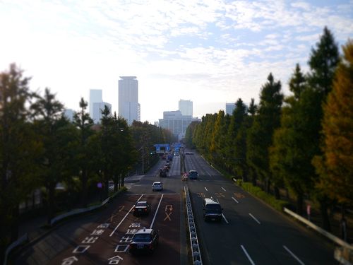 明治神宮外苑いちょう並木の紅葉情報 2025- ウェザーニュース