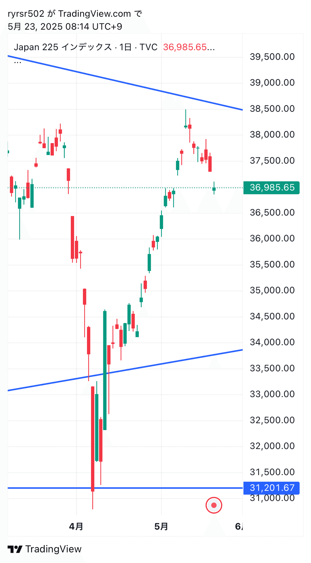 Amazon.co.jp: Photo Collection of