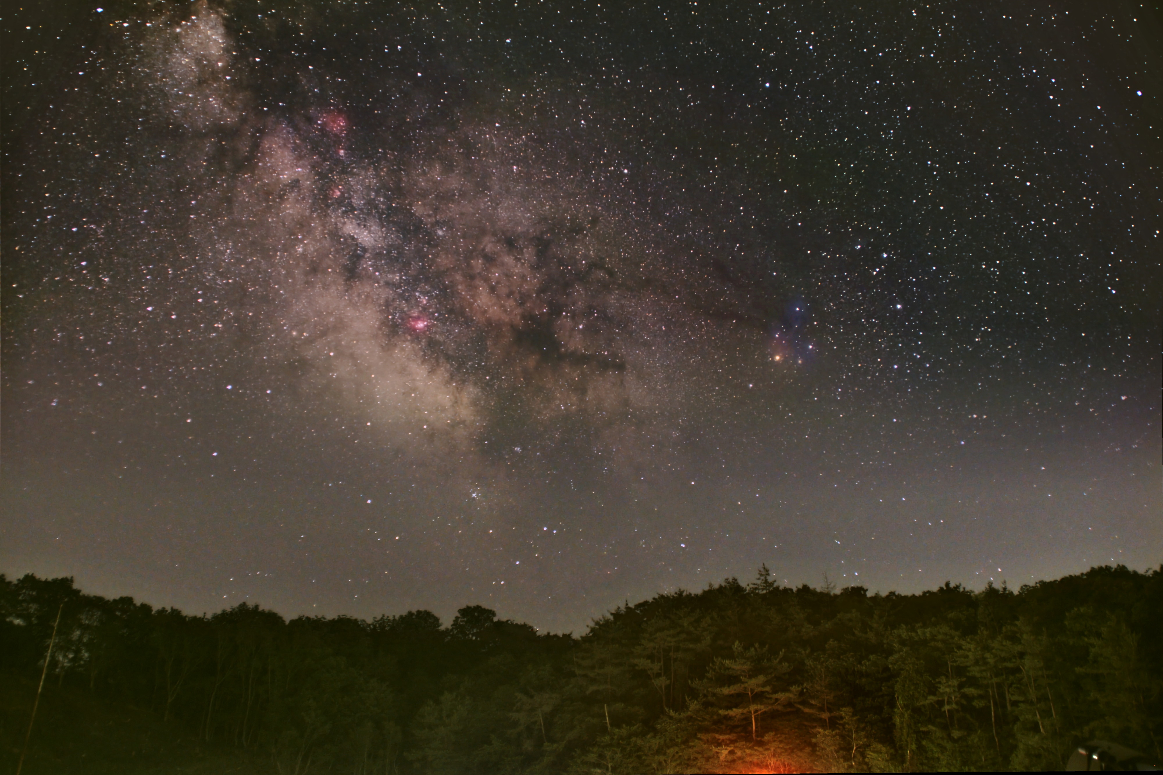昼も夜も楽しめる奈良の星空スポット「フォレストパーク神野山」天体写真ナビ