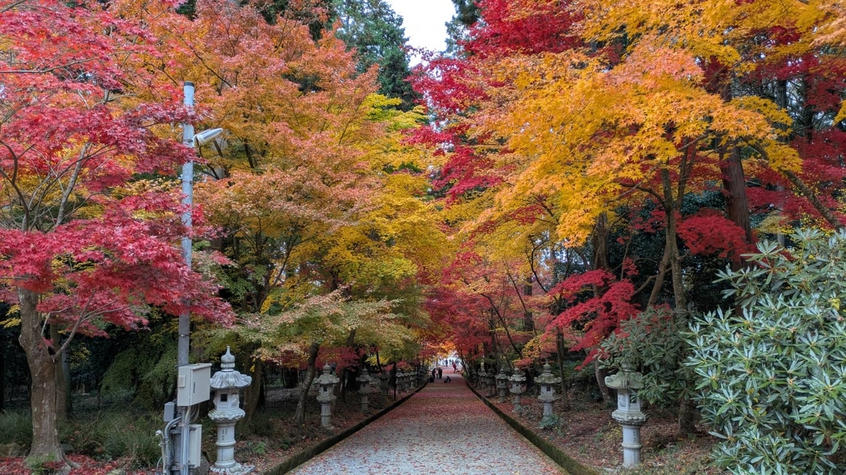 近畿の駅百選・JR加古川線 日本へそ公園駅
