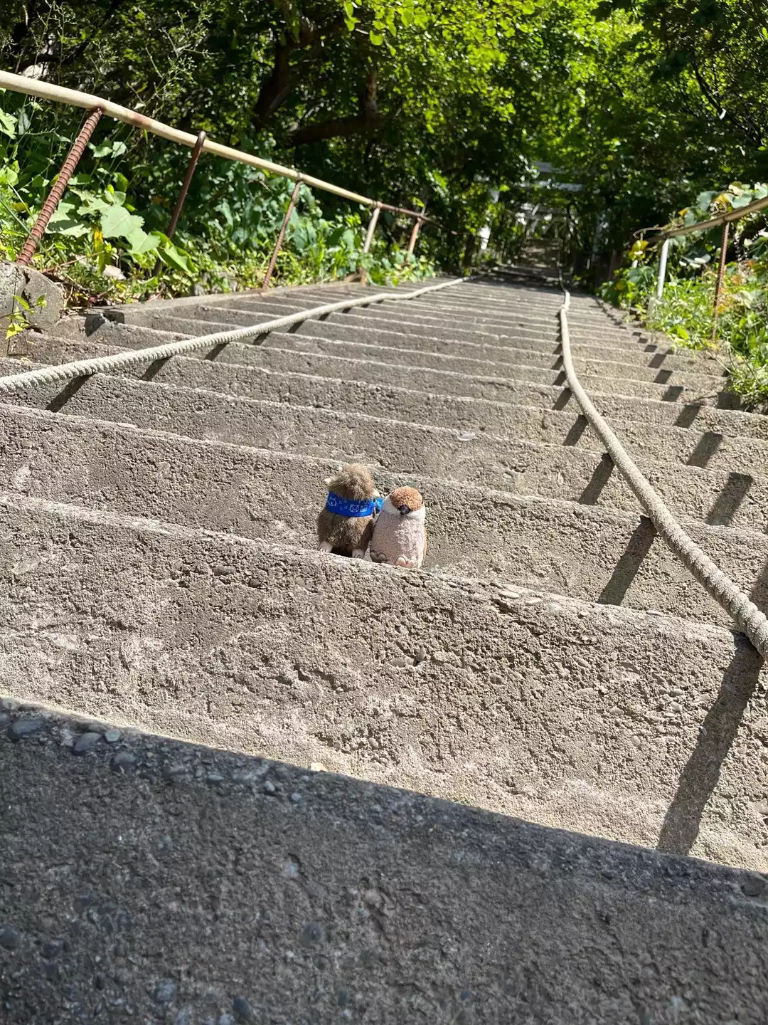 太田神社の御朱印 北海道久遠郡せたな町神社お寺御朱印巡り