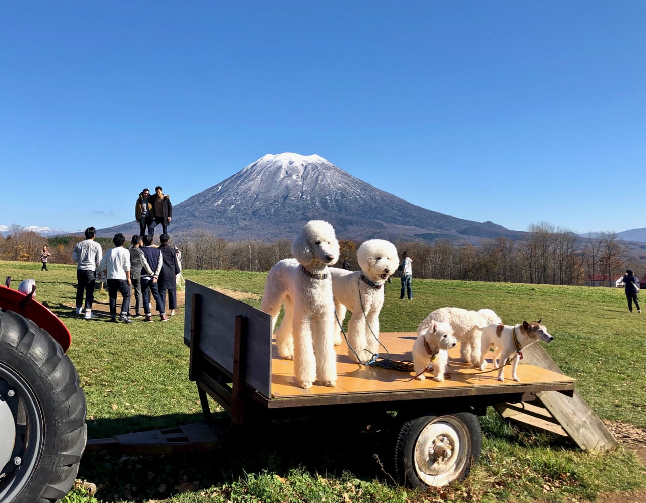 洞爺湖の大自然を巡る 登別・室蘭ドライブルートクルマ情報サイトｰGAZOO.com