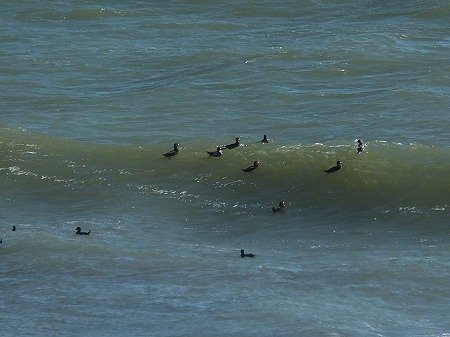 宮崎 日向市 千葉 一宮町