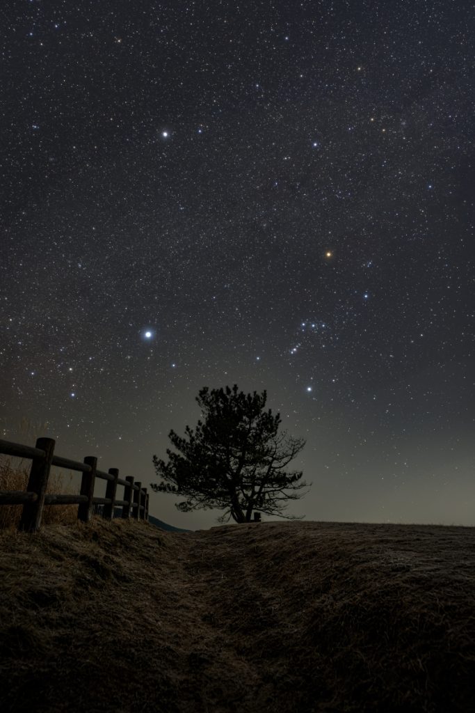 星のくに五條市で“観る”五條市観光協会
