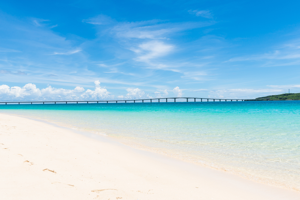 hasamersmart で テイクアウト