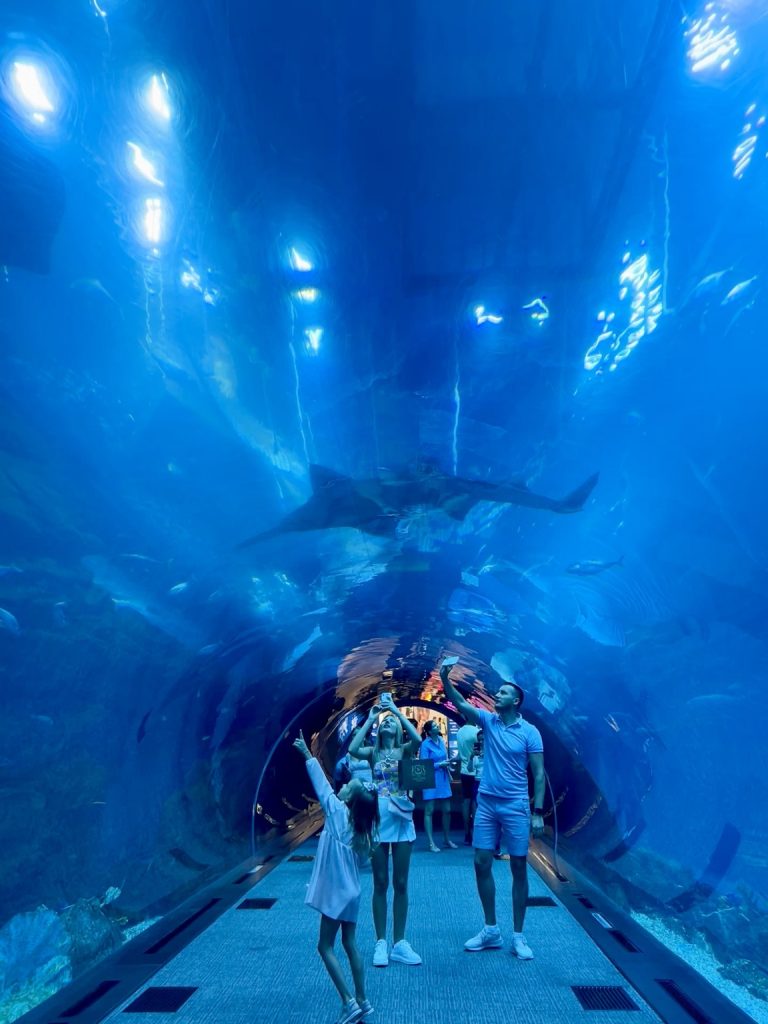 ドバイ水族館・水生生物園 入館チケットの予約Klook