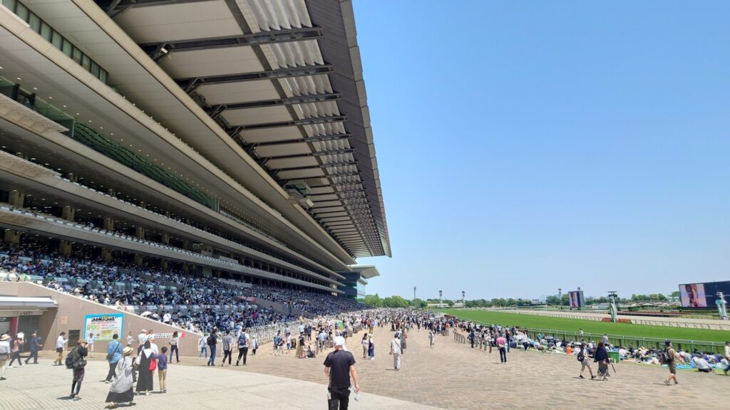 ハショウボーイ「今日はいい天気だなあ〜。こんな日は東京競馬場から富士山が見えるんだってよ」サクセスブロッケン「おれは何度も見たことあんで。競走馬と富士山が同時に望めてほんま絶景やねん！今週末も富士山見ながら誘導したいわ～」