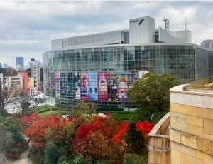 猛禽屋東京店 フクロウの巣カフェ上野にあるフクロウ＆珍獣と触れ合えるカフェ