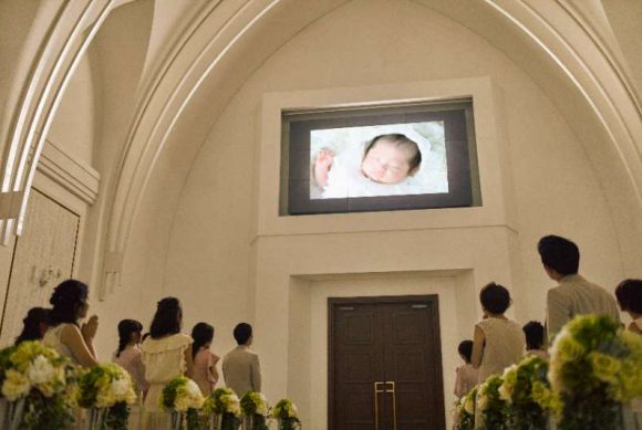 ララシャンスガーデン東京ベイです, ▷▷▷ @lalachance_tokyo,