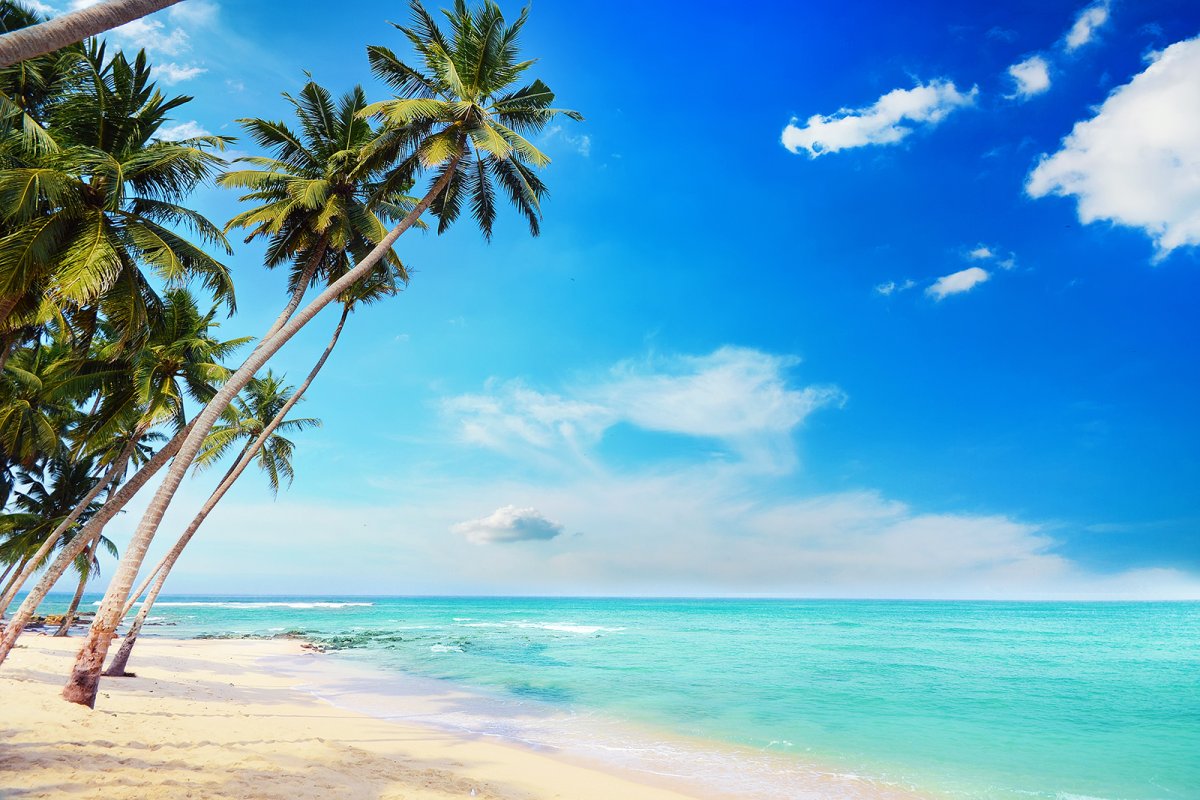 バハマを発見: 熱帯の楽園があなたを待っていますKenzly