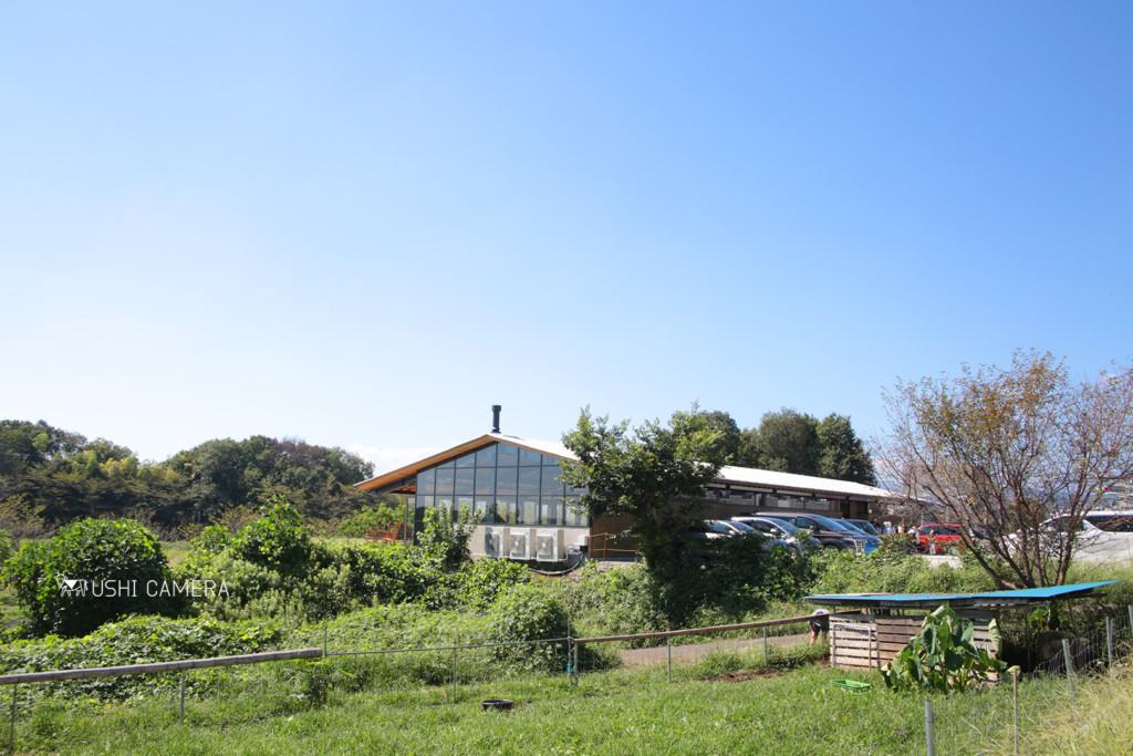 八王子「東京ファームビレッジ」で絶品グルメバーガー＆レモンパイ 牧場の丘の上のレストランへ│193go.jp いくみごードットジェイピー