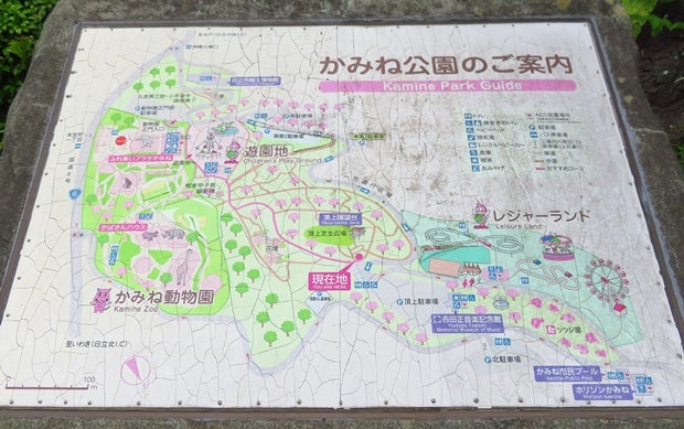 2025年 かみね公園 -