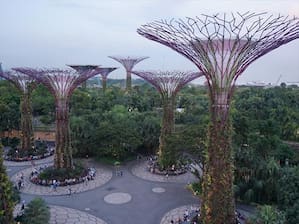 シンガポール植物園 初の世界遺産！ ボタニック・ガーデンをご紹介！！たびこふれ