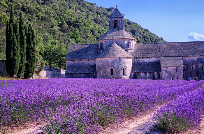 南フランス＆バルセロナの旅〜地中海周遊ツアーの感想 2023年6月～7月あさひ