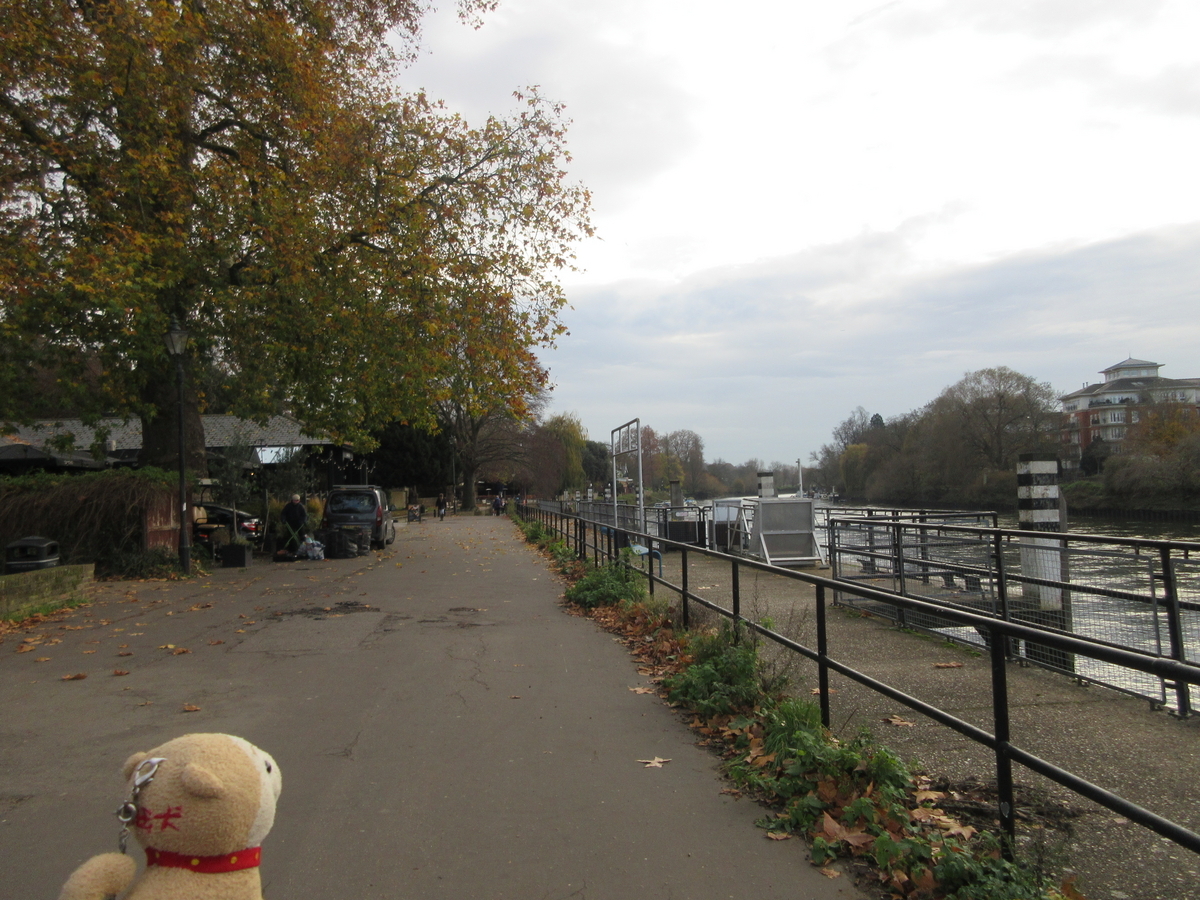 おすすめリッチモンド イギリス 観光スポットゲットユアガイドGetYourGuide