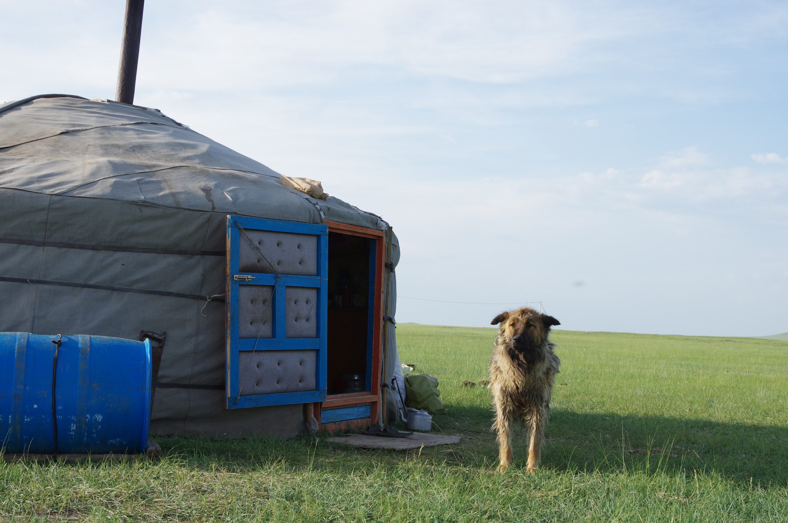 GerTentモンゴルのゲルにヒントを得て設計されたラグジュアリーテント「ゲルテント」 - ガジェットの購入なら海外通販のRAKUNEW ラクニュー