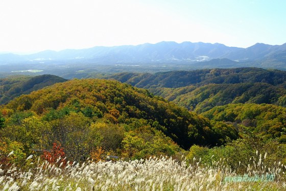 岡山県 蒜山大山スカイライン スカイライン特集クルマ情報サイトｰGAZOO.com