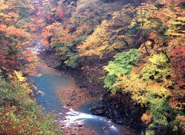 白砂渓谷ライン 紅葉巡り旅 - それでもやっぱり田舎が好き
