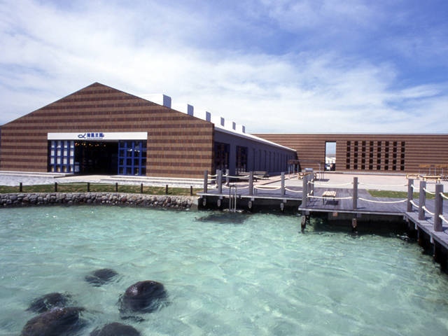 2025年 館山のおすすめ観光スポット50選！人気の絶景スポットも！観光情報メディア colmo コルモ