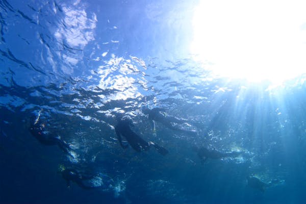 真鶴の琴ヶ浜はシュノーケリング上級者が喜ぶ絶好のポイント東京シュノーケリングブログ