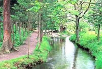 貸切観光タクシー カッパの棲む遠野をめぐるプチトリップ カッパ淵+伝承園+常堅寺etc. ＜1時間 遠野市内発着＞岩手の観光&遊び・体験・レジャー専門予約サイト