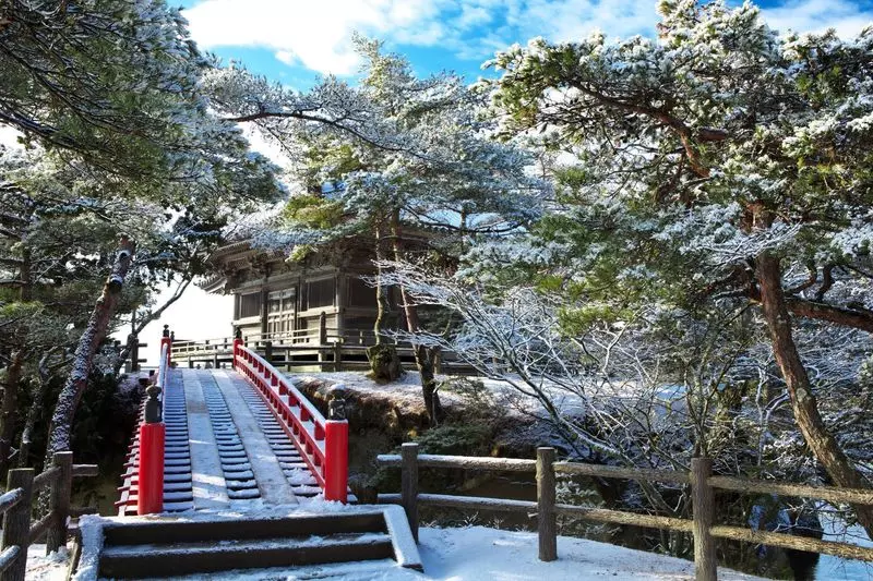 仙台の冬を楽しむ！イベント＆観光スポットアクティビティジャパン