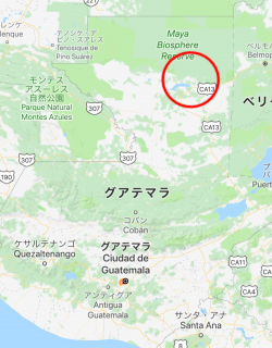 グアテマラ・ティカル遺跡の観光おすすめはサンライズツアー ~行き方・入場料・注意事項~カニクラの日