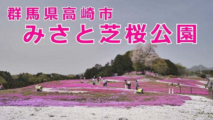 みさと芝桜公園 首都圏から車で約1時間半！群馬へフォトジェニックな観光はいかが？群馬県高崎市地方創生メディア Mediall