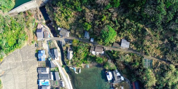 オルソ画像作成